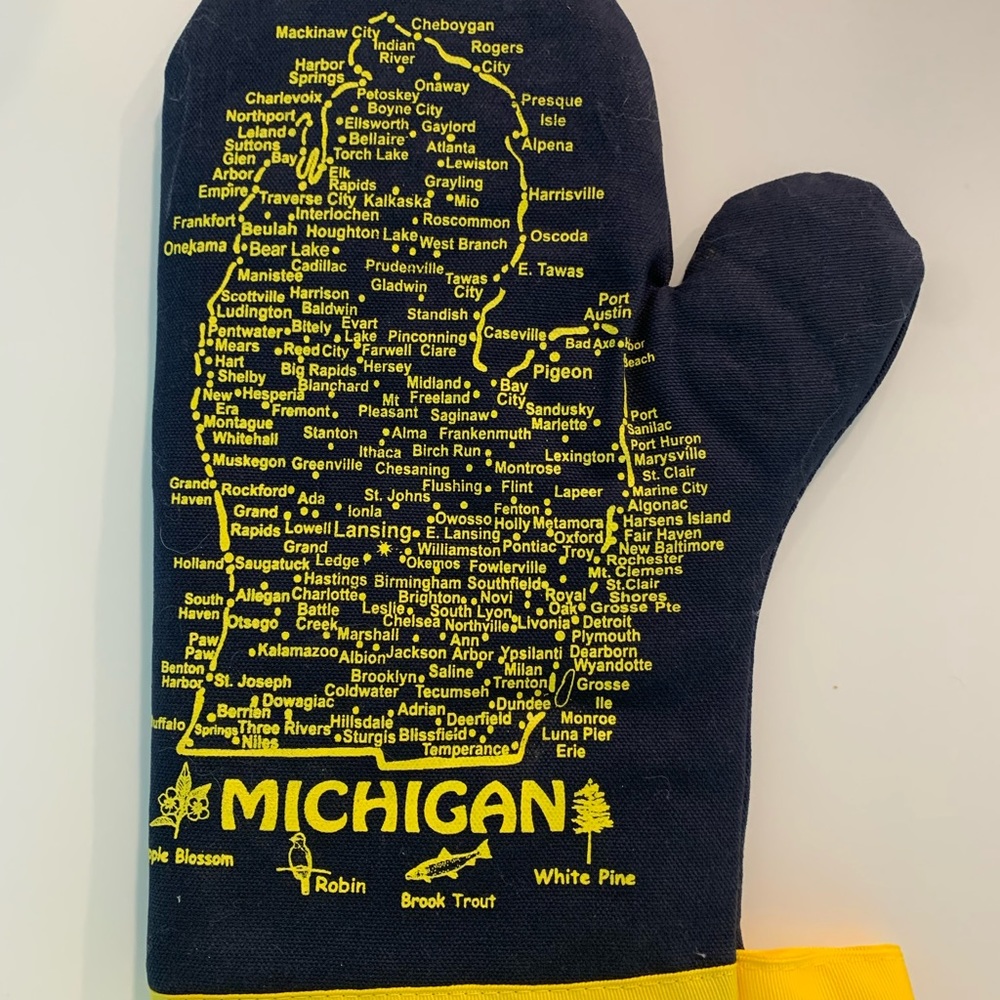 Michigan BBQ mitt